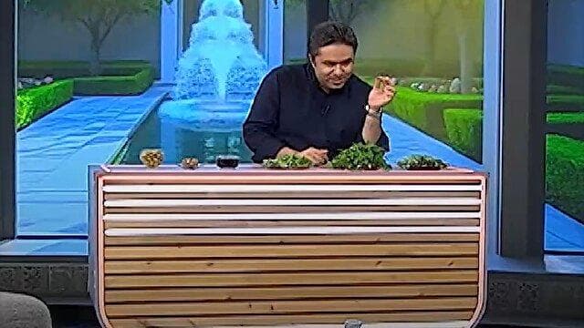 راهکاری برای رفع دل دردی که بر اثر نفخ حبوبات ایجاد می‌شود + فیلم