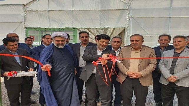 اولویت وزارت جهاد کشاورزی توسعه گلخانه‌ها است