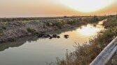رهاسازی ۱۰۰ میلیون مترمکعب آب سدهای دز و کارون برای نجات نخیلات‌