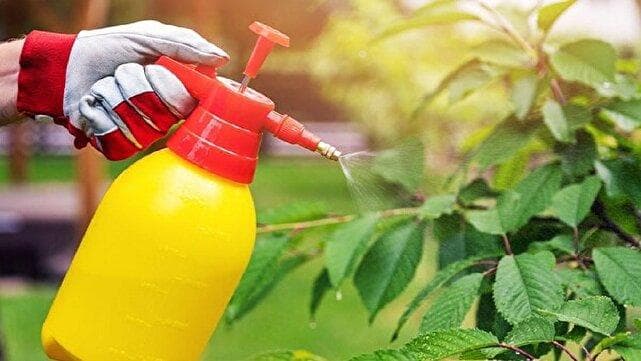 آفت‌کش‌ها چه بلایی بر سر رشد مغزی کودکان می‌آورند؟