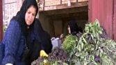 بانویی که مزرعه را کارخانه کرد!