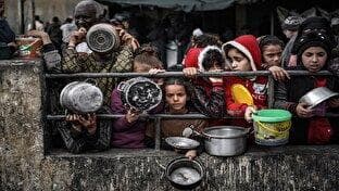 اعتراض شورای امنیت به قحطی، گرسنگی و تشنگی در غزه + فیلم