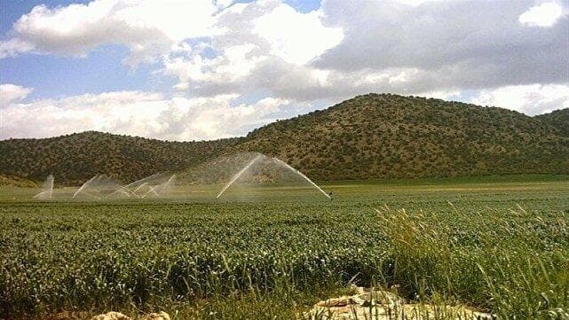 ناترازی انرژی ۲۵۰ همت به کشاورزان خسارت وارد کرد