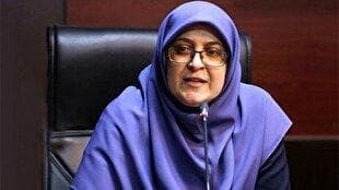 مهاجرانی: دولت به پاسخگویی و خدمت متعهد می‌ماند