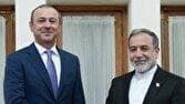 دیدار دبیر شورای امنیت ارمنستان با عراقچی