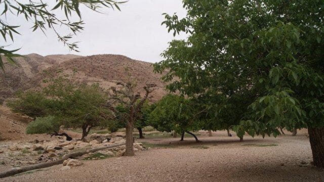 سرند روستایی سرسبز و زیبا در دل کوه‌ها