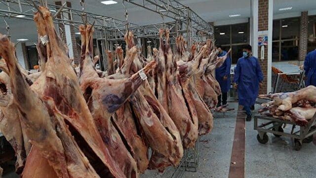 افزایش ۱۱ درصدی کشتار دام و طیور در خراسان جنوبی