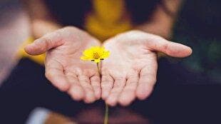 دست‌های سخاوتمند لرستانی‌ها در جشن عاطفه‌ها به هم گره می‌خورد