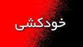 مدل‌های پیشگیری، برنامه‌های اجرایی و مداخلات دانشگاهی در خصوص کاهش خودکشی بررسی می‌شود