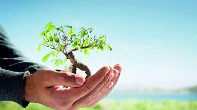 ۹۷ نگین مذهبی در لرستان؛ ترویج فرهنگ وقف از دل تاریخ