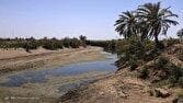 سطح وسیعی از تالاب هورالعظیم در بخش عراقی آن خشک شده است