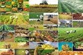 ایران در آستانه تحول در امنیت غذایی با فناوری‌های نوین