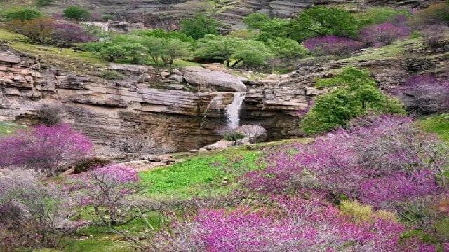 بهشتی در پائیز؛ روستای کله هو در چگنی + فیلم