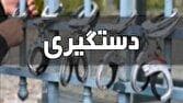 دستگیری صیادان غیرمجاز در مراغه 
