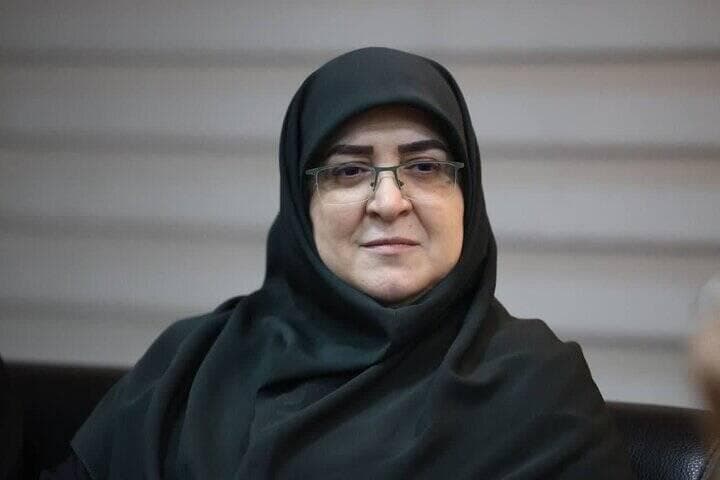 مهاجرانی: تاکنون بیش از ۲۵۰ هزار ماینر غیرقانونی کشف شده است
