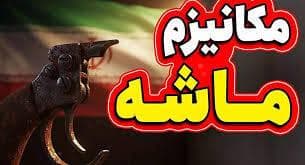 فیلم/ قدرت واقعی «مکانیسم ماشه» چقدر است؟
