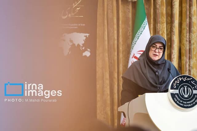 سخنگوی دولت از همراهی مردم با ناترازی برق تشکر کرد