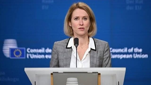 کالاس: برای تسهیل دیپلماسی با ایران مصمم هستم