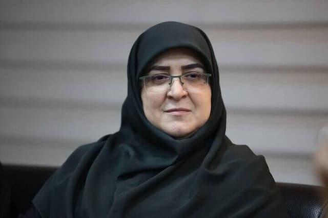 واکنش سخنگوی دولت به لغو کنسرت شجریان