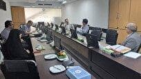 کدخدازاده: طراحی فلوشیپ‌های جدید باید متناسب با نیاز‌های سلامت باشد
