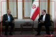 ملاقات امیر جماعت اسلامی پاکستان با وزیر امور خارجه