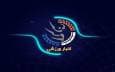 قهرمانی شطرنج باز قزوینی در مسابقات بین المللی ابن سینای همدان 