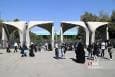 مه‌بارش، منبع پنهان آب در جنگل‌های شمالی؛ جذب ۱۲۰ میلیون متر مکعب آب از مه‌بارش فقط در فصل رویش