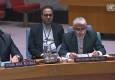 ایروانی: حمله به تاسیسات هسته‌ای ایران نقض منشور ملل متحد بود