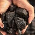 دستگیری متخلفان قطع درختان جنگلی در منطقه حفاظت شده هلن چهارمحال و بختیاری