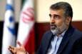 کمالوندی: عملیات تعویض سوخت بوشهر زیر نظر بازرسان آژانس است