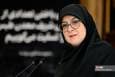 مهاجرانی: افزایش قیمت بنزین در حد طرح مسئله است؛ هیچ جمع‌بندی در این زمینه وجود ندارد + فیلم