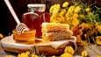 عسل، طلای مایع طبیعت در مسیر شفا
