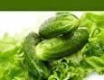 زندگی با طعم لاکچری خیار و کاهو