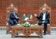 پزشکیان در دیدار شهباز شریف:هیچ فاصله‌ای بین مردم ایران و پاکستان نیست