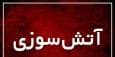 سوله ۱۰۰۰ متری آرد در شیراز آتش گرفت
