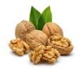 گردو بخورید تا شب راحت خوابتان می‌برد
