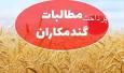 پرداخت بخشی از مطالبات گندمکاران استان از دیشب