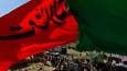 حضور پرشور زائران از سراسر جهان در مسیر اربعین