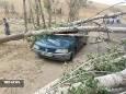 وزش باد شدید در تکاب ۴ مصدوم برجای گذاشت
