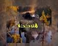 هنرکده سمنان؛ ادامه روند آزادسازی محوطه کاروانسرای شاه عباسی سمنان