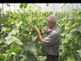 ایجاد واحد های گلخانه ای برای مدیریت مصرف آب