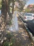 اتصال فضای سبز بولوار صارمی به شبکه آبیاری تصفیه‌خانه اکباتان
