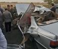 مصدومیت شدید دو نفر در حادثه رانندگی میاندوآب