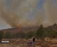 آتش افتاده به جان جنگل‌های مریوان همچنان زبانه می‌کشد