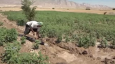 مهار روان‌آب‌ها با ایجاد بند‌های خاکی