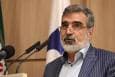 تعویض سوخت نیروگاه بوشهر با حضور ناظران آژانس اتمی