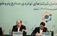 توسعه صنعت پتروشیمی در گرو خصوصی‌سازی واقعی