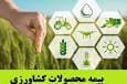 افزایش ۵۰ درصدی تعهدات بیمه گندم