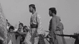 دلاور دلوار