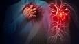 چرا بیشتر بیماری‌های قلبی قابل پیشگیری هستند؟